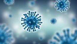 Blue-virus-depth-of-field-background-copy-space-text-overlay-corona-coronavirus-corona-virus-disease t20 wl0w88